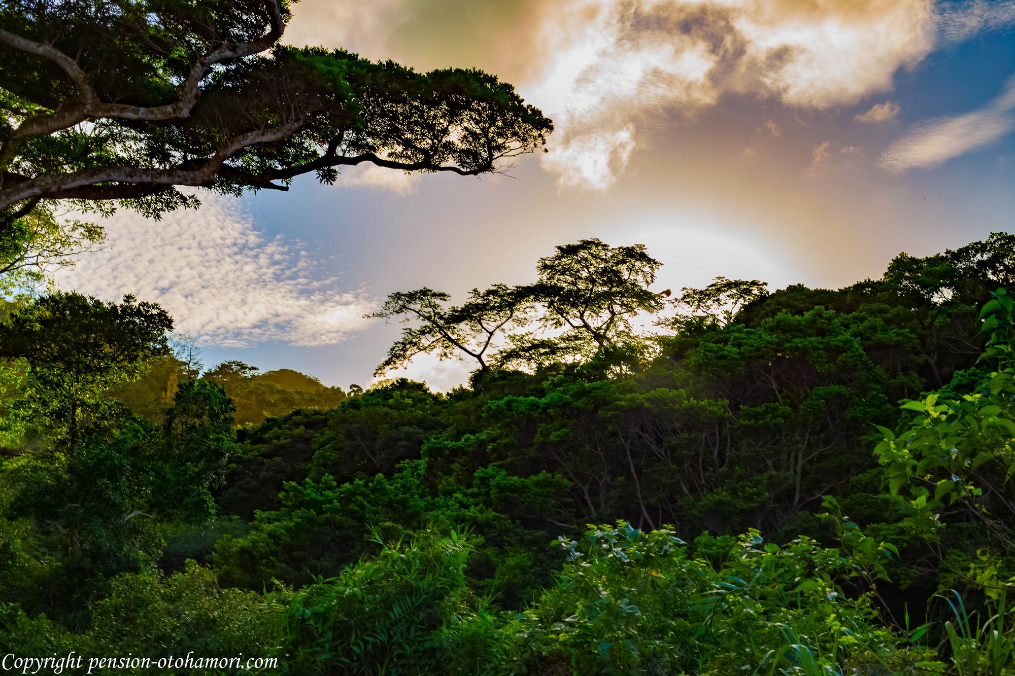 ペンション乙羽森 夕暮れ