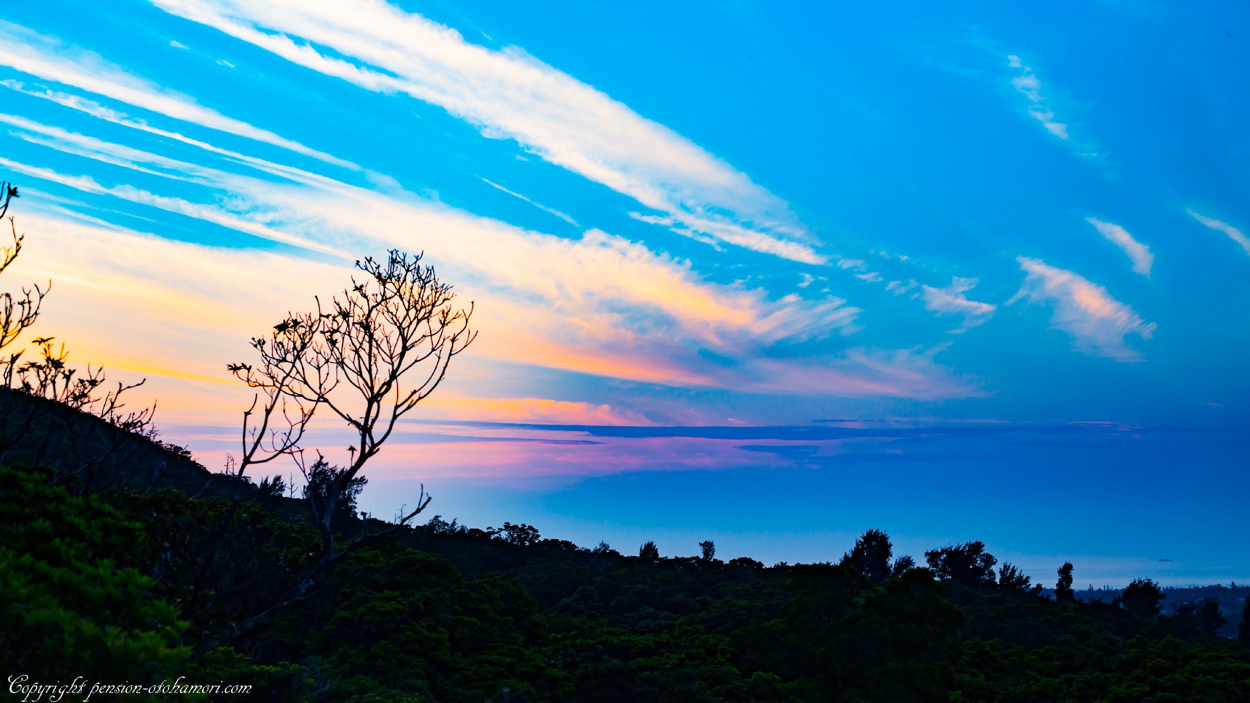 ペンション乙羽森 夕暮れ